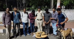 City Dog Squad seizes 10 kg ganja at Visakhapatnam Railway Station inspection